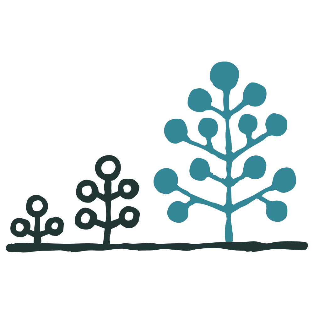 القراءة والنصوص